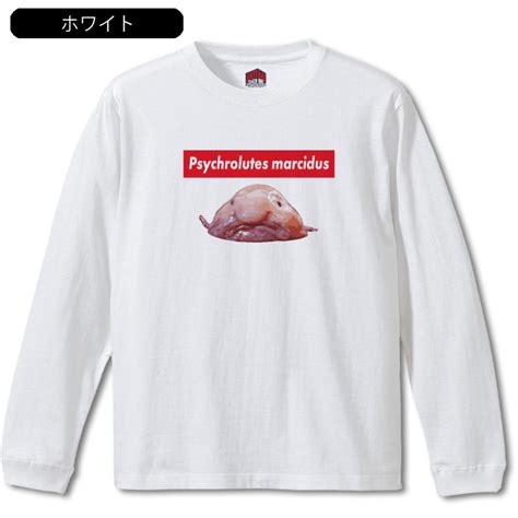 Image result for Executing Script in Python