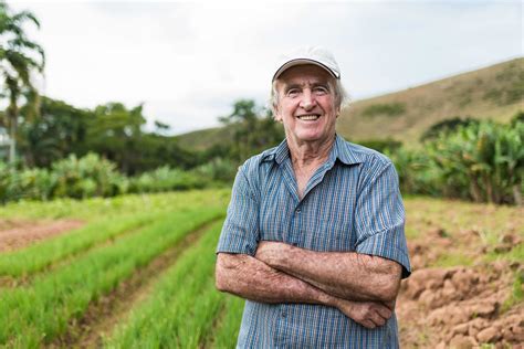 Innovación en la detección del cáncer de próstata: avances clave que ...