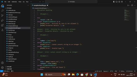 Image result for Python Classes by Srinivas Reddy