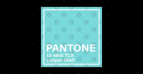 Image result for Limpet Shell Color