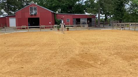 Image result for USDF Intro Test A