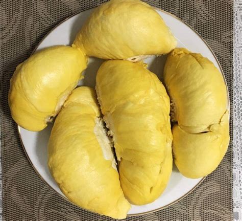 can pregnant women eat durian - Michael Parsons