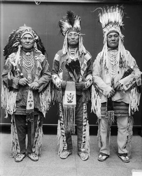 Unveiling the Harmony: The Blackfeet and Timucuan Tribes’ Enduring Connections to the Land