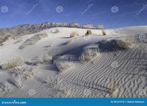 Salt Basin Dunes in Guadalupe Mountains National Park Stock Photo ...