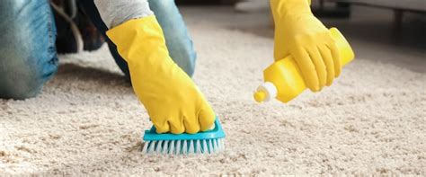 Carpet Shampooing |Carpet Shampooing Hyderabad - Unicare Services