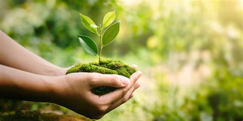 Environment Setting 的图像结果