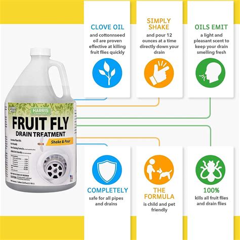 Harris Fruit Fly Drain Treatment Gel - Indoor 128oz Fruit Fly Killer ...