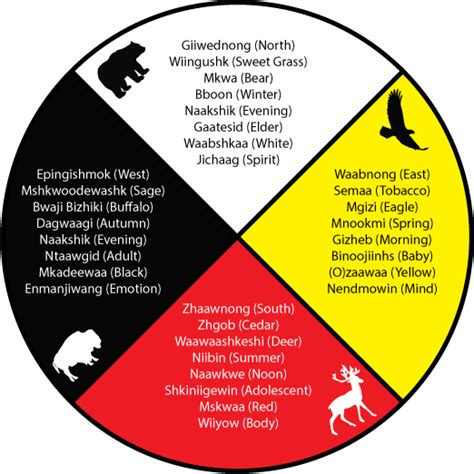 Medicine Wheel Birth Totems Guide