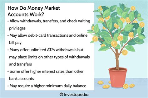 Best Online Money Market Account 的图像结果