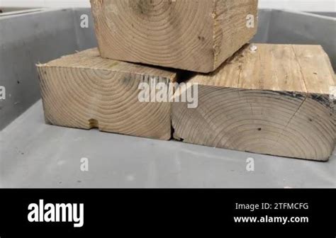 Image result for Wood Sorting System