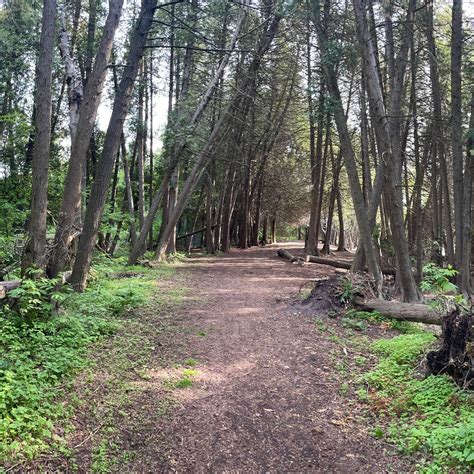 Harrisville State Park | The Dyrt