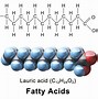 Image result for Lipid