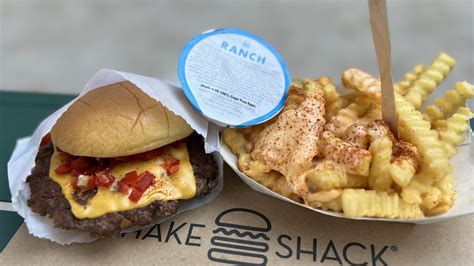 Image result for Full-Stack Web Developement Python Brilliant