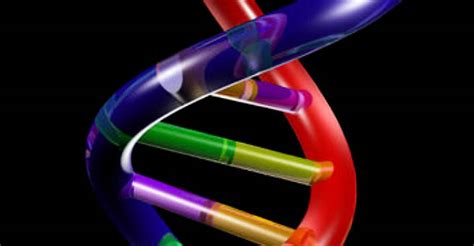 DNA Database 的图像结果