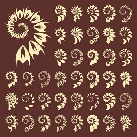 Shell Texture Vector 的图像结果