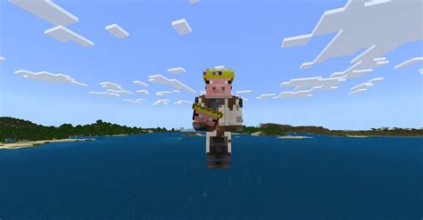 Image result for Minecraft Mask Mod