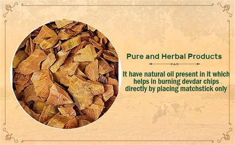 Kwality - Original Devdar/Devdaru/Deodar/Cedar Wood for Puja, Hawan or ...