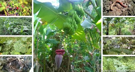 Farming Methods 的图像结果