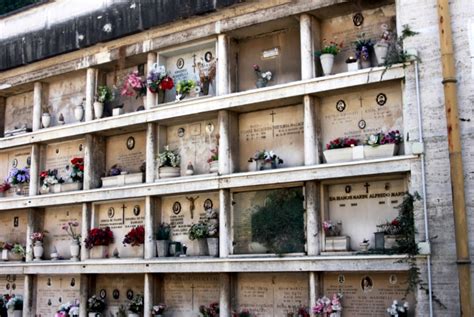 Cimitero di Frosinone. Approvata la realizzazione di 280 nuovi loculi ...