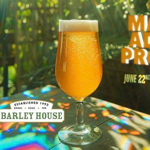 Mason Adams Project brings Hillbilly-Hippie-Funk to The Barley House ...