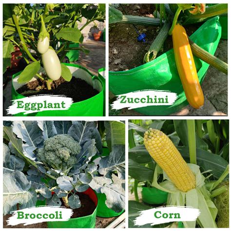 OrganicBazar 18x15 Grow Bag for Vegetable Garden, Premium HDPE 260 GSM ...