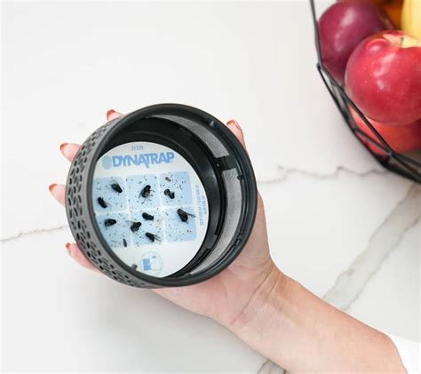 Image result for Insect Trap Reviews