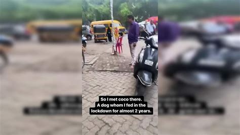 Mumbai woman meets dog she used to feed during lockdown in heartwarming ...