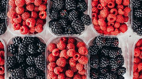 Image result for API Comparator