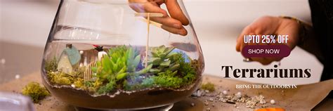 Green Gifting Ideas | www.farmstudio.co.in | Mumbai