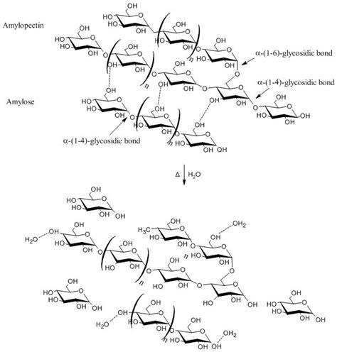 Advantages and Disadvantages of Bioplastics Production from Starch and ...