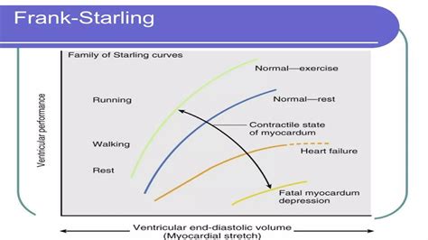 Frank Starling | PDF