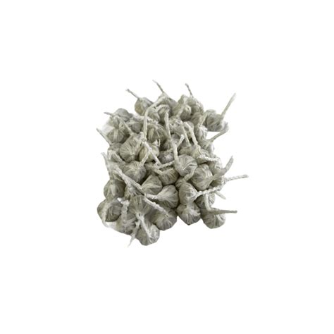 Who to Use Fun Snaps 的图像结果