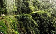 Home In The Argentinian Forest by Argentina Is Changing Chaco Forest Home In The Argentinian Forest