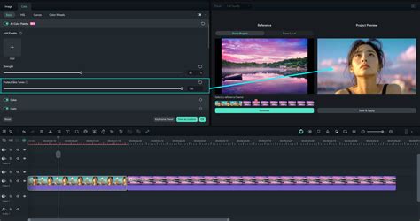 Automatic Video Colorization Software 的图像结果