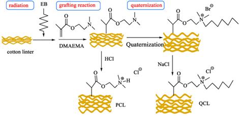 Polymers | Special Issue : Radiation Polymers