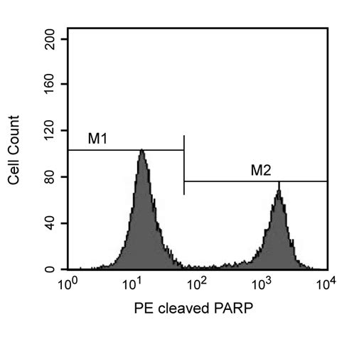 PE Mouse Anti-Cleaved PARP (Asp214)