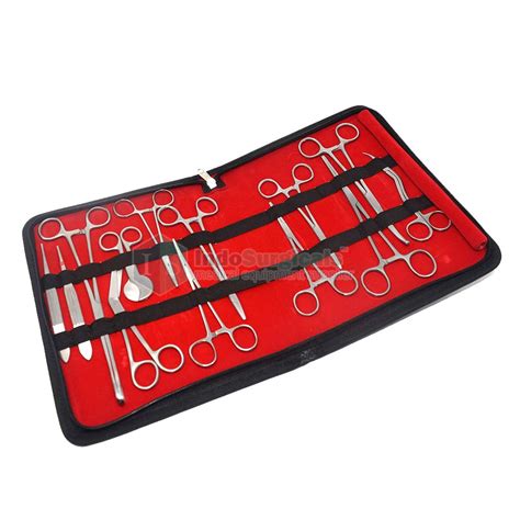 IS IndoSurgicals Stainless Steel Delivery Instrument Kit/Set,Silver ...