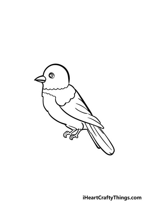 Image result for Website Developing Software Code