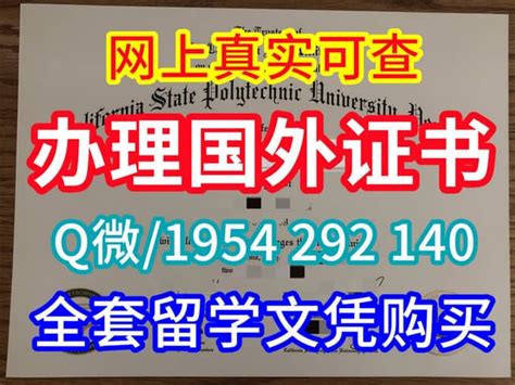 东北大学假文凭美国假文凭回国找工作 | PPT