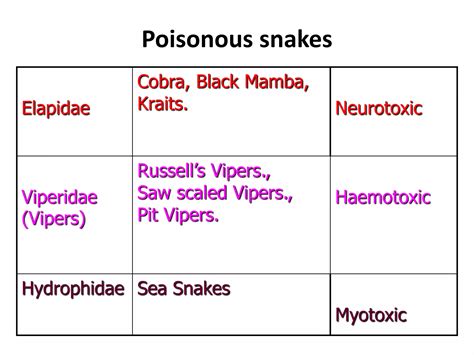 Snakebites in Tanzania | PPTX
