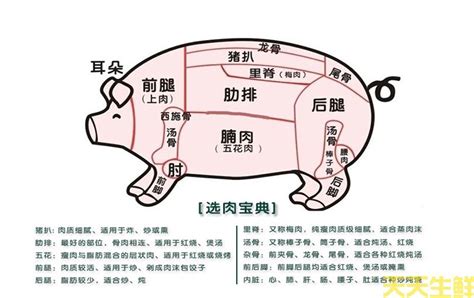 猪梅花肉是什么部位 - 业百科