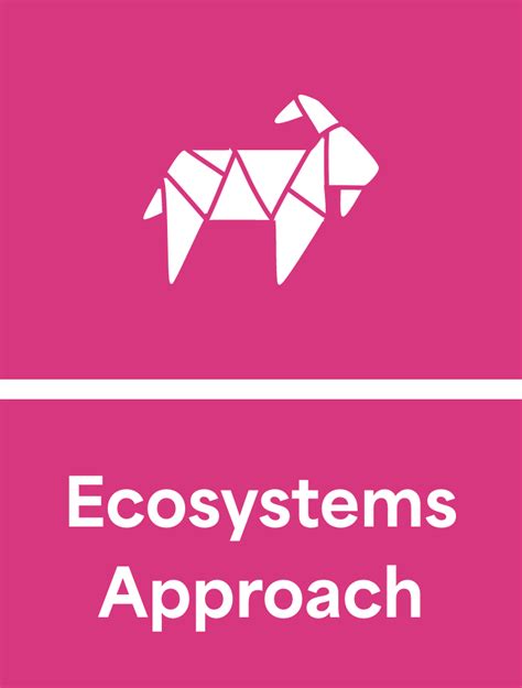 Image result for Ecological Approach to Learning