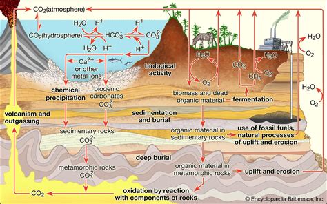 Image result for Hydrosphere Examples