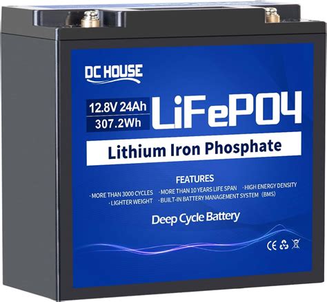 Free Shipping! DC HOUSE 12V 24AH Lithium Battery Rechargeable LiFePO4 ...