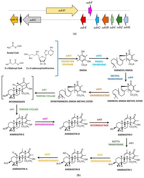 Secondary Metabolites Produced by the Blue-Cheese Ripening Mold ...