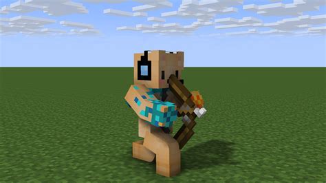 Image result for Player Animation MC First Person Java