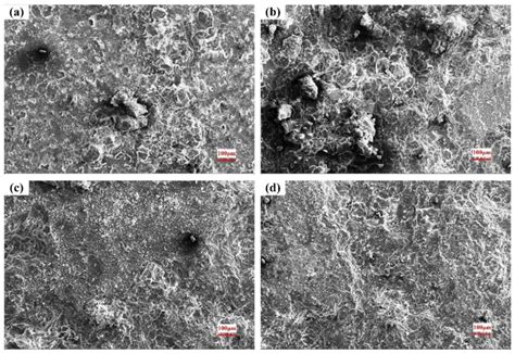 Effect of Corrosive Medium and Surface Defect-Energy on Corrosion ...