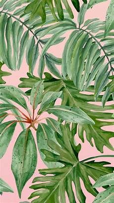 Iphone Aesthetic Wallpaper Tropical by Android 1080 X 19201 Jpg 1080 215 1920 Aesthetic Wallpapers Iphone Aesthetic Wallpaper Tropical