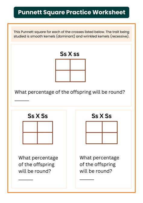 40+ Punnett Square Practice Worksheet To Download In PDF