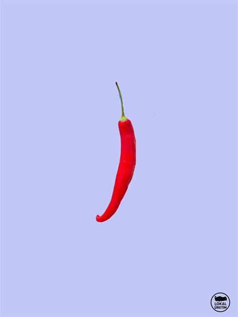 Gallery – West Coast Diesels